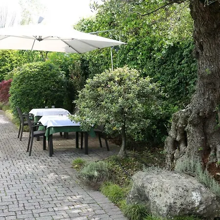 Отель Kristal 3*